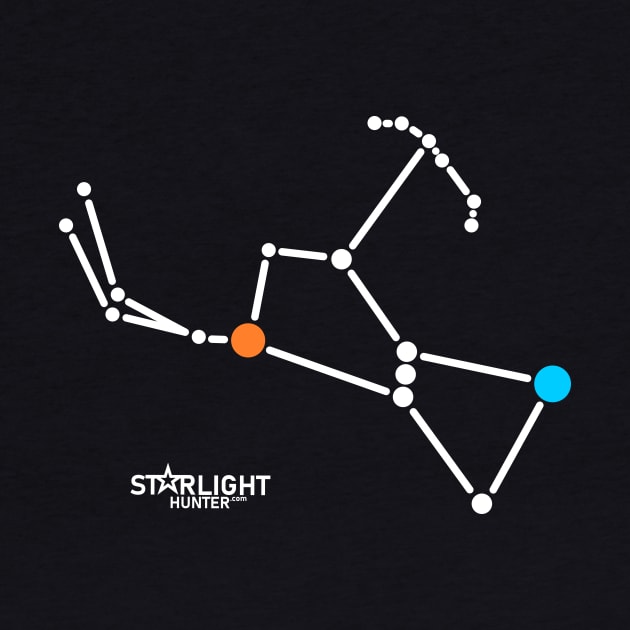 Orion constellation by StarlightHunter.com